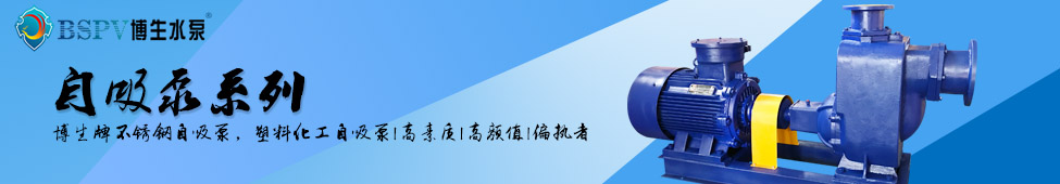 ZX自吸泵像素banner.jpg